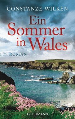 Ein Sommer in Wales (eBook, ePUB) - Wilken, Constanze