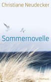 Sommernovelle (eBook, ePUB)