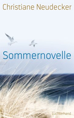 Sommernovelle (eBook, ePUB) - Neudecker, Christiane