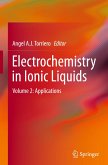 Electrochemistry in Ionic Liquids 02