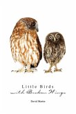 Little Birds with Broken Wings (eBook, ePUB)
