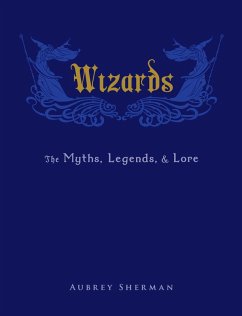 Cover Wizards (eBook, ePUB)