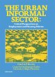 The Urban Informal Sector (eBook, PDF) - Bild 1