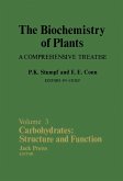 Carbohydrates: Structure and Function (eBook, PDF)