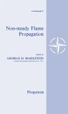 Nonsteady Flame Propagation (eBook, PDF)