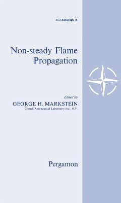 Nonsteady Flame Propagation (eBook, PDF)