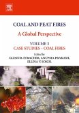Coal and Peat Fires: A Global Perspective (eBook, ePUB)