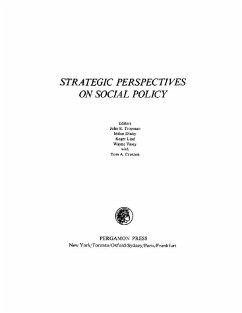 Strategic Perspectives on Social Policy (eBook, PDF)