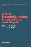 DNA - Recombination Interactions and Repair (eBook, PDF)