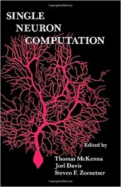 Single Neuron Computation (eBook, PDF)