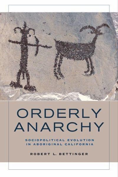 Orderly Anarchy (eBook, ePUB)