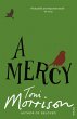 A Mercy (eBook, ePUB) - Bild 1