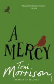 A Mercy (eBook, ePUB)