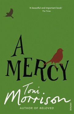 A Mercy (eBook, ePUB) - Morrison, Toni