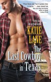 The Last Cowboy in Texas (eBook, ePUB)
