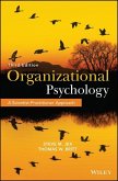 Organizational Psychology (eBook, PDF)