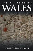 The History of Wales (eBook, PDF)
