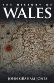 The History of Wales (eBook, PDF) The History of Wales (eBook, PDF)