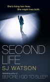 Second Life (eBook, ePUB)