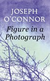 Figure in a Photograph: A Short Story from 'Where Have You Been?' (eBook, ePUB)