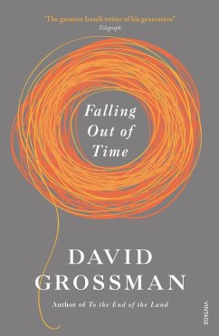 Falling Out of Time (eBook, ePUB) - Grossman, David