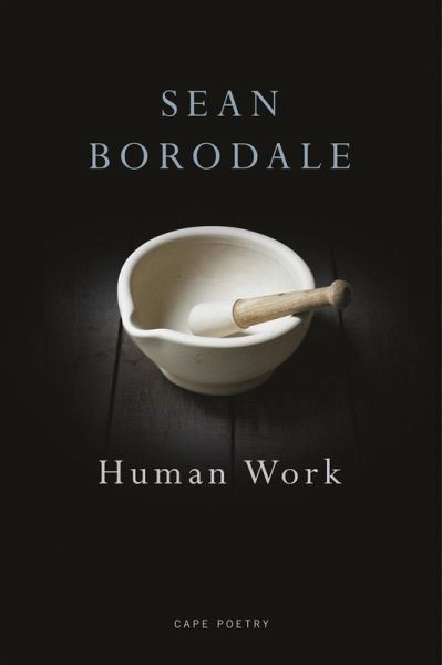 Human Work (eBook, ePUB) Human Work (eBook, ePUB)