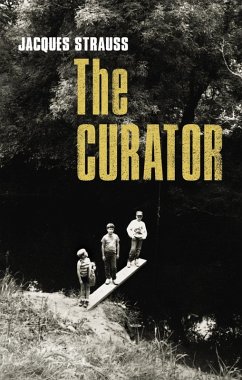 The Curator (eBook, ePUB) - Strauss, Jacques