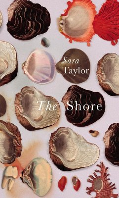 The Shore (eBook, ePUB) - Taylor, Sara