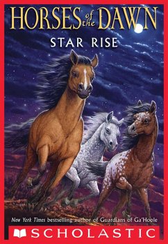Cover Star Rise (eBook, ePUB)