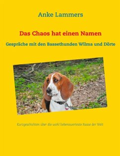 Das Chaos hat einen Namen (eBook, ePUB) - Lammers, Anke