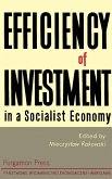 Efficiency of Investment in a Socialist Economy (eBook, PDF)