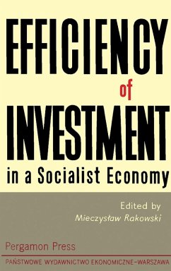 Cover Efficiency of Investment in a Socialist Economy (eBook, PDF)