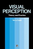 Visual Perception: Theory and Practice (eBook, PDF)