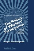 The Politics of Workers' Participation (eBook, PDF)