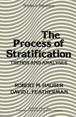 The Process of Stratification (eBook, PDF)