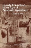 Family Formation in an Age of Nascent Capitalism (eBook, PDF)