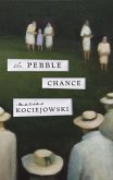 The Pebble Chance (eBook, ePUB)