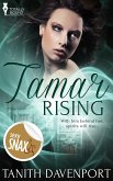 Tamar Rising (eBook, ePUB)