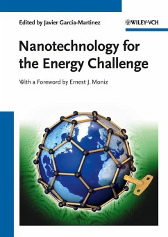 Nanotechnology for the Energy Challenge (eBook, PDF)