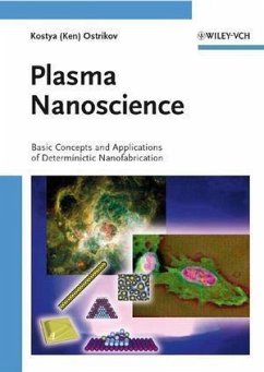 Plasma Nanoscience (eBook, PDF) - Ostrikov, Kostya