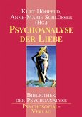 Psychoanalyse der Liebe (eBook, PDF)