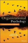Organizational Psychology (eBook, ePUB)