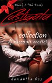 Castigata Collection (eBook, ePUB)
