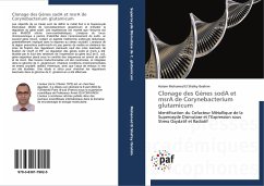 Clonage des Gènes sodA et msrA de Corynebacterium glutamicum - Mohamed El Shafey Ibrahim, Hatem