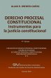 DERECHO PROCESAL CONSTITUCIONAL.... - Bild 1