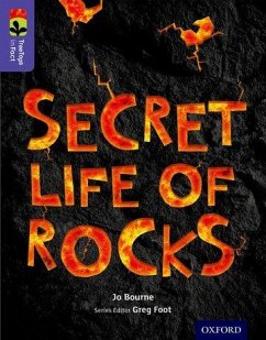 Oxford Reading Tree TreeTops inFact: Level 11: Secret Life of Rocks - Bourne, Jo