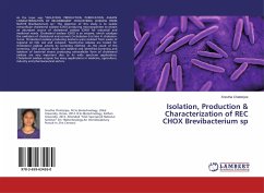 Isolation, Production & Characterization of REC CHOX Brevibacterium sp
