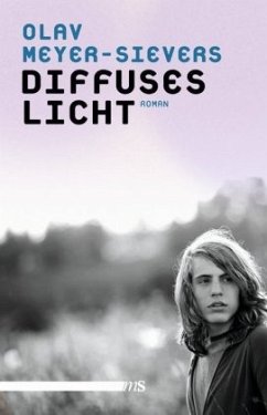 Diffuses Licht - Meyer-Sievers, Olav