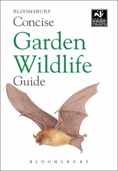 Concise Garden Wildlife Guide (eBook, ePUB) - Bloomsbury