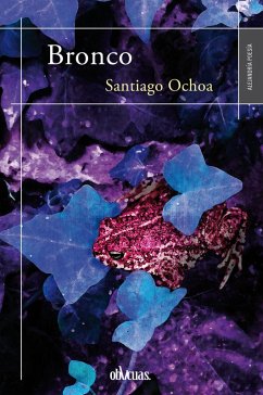 Cover Bronco (eBook, ePUB)